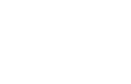 ORB Logo White